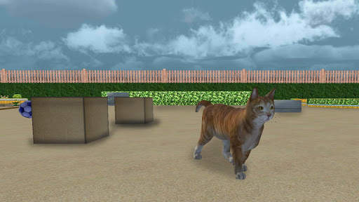 Cat Simulator 2017 screenshot 2