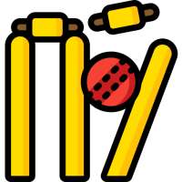 Cricket Score Counter