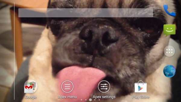 Dog Lick Screen Cleaner screenshot 1