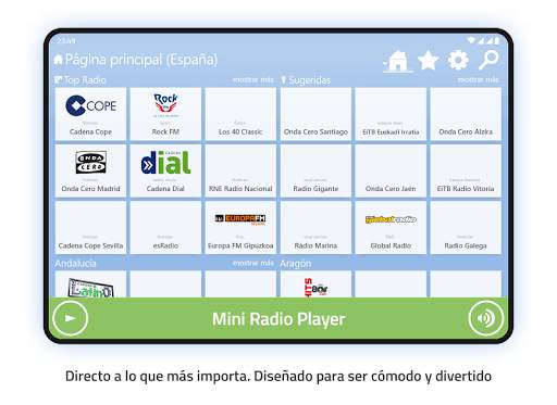 Mini Radio Player screenshot 8