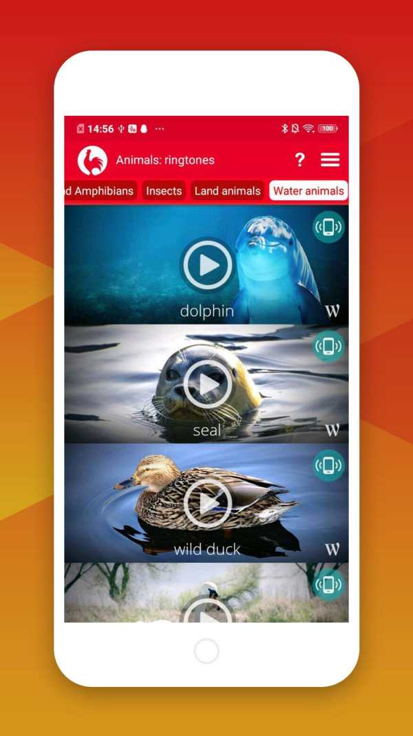 Best Animals Ringtones screenshot 3