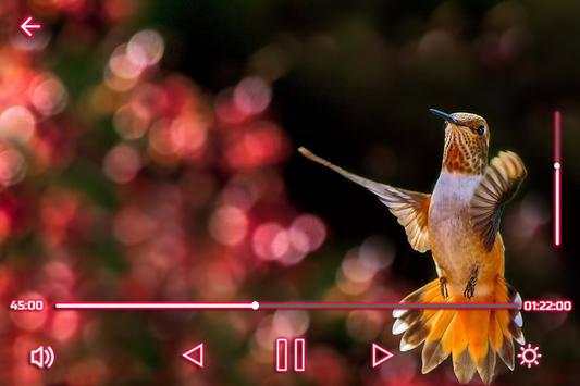 Max Player screenshot 1