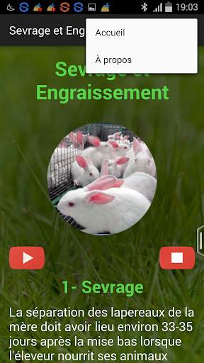 Kaninchenzucht (Führung) screenshot 3