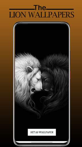 Lion Wallpaper Full HD - Sher Ka Photo Wallpaper screenshot 5