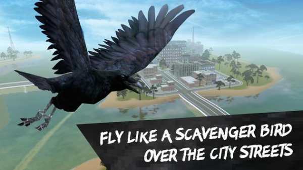 City Bird Crow Simulator 3D screenshot 1