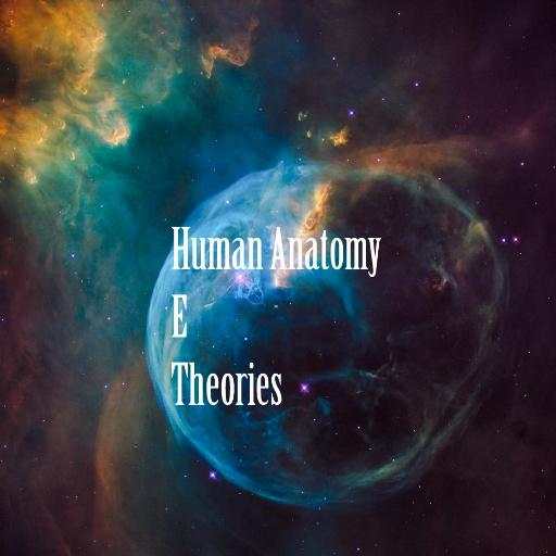 Human Anatomy E Theories 0.31