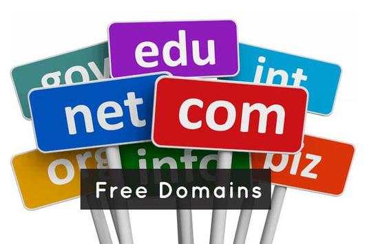 Free Domains screenshot 2