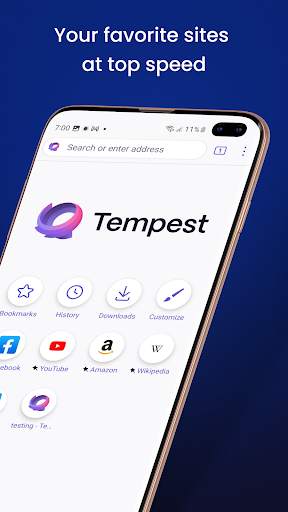 Tempest Secure Web Browser screenshot 2