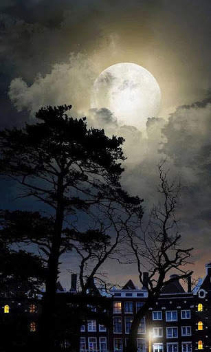 HD Mystic Night Live Wallpaper screenshot 12