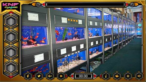 Can You Escape From Fish Shop screenshot 2
