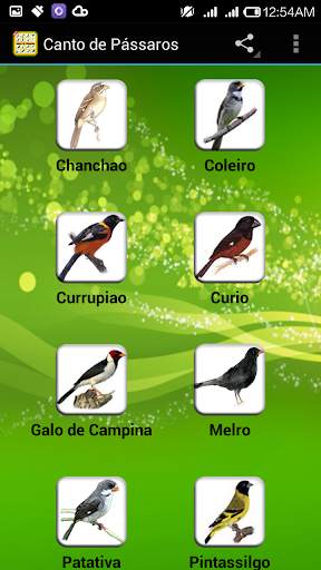 Canto de Pássaros (Offline) screenshot 3