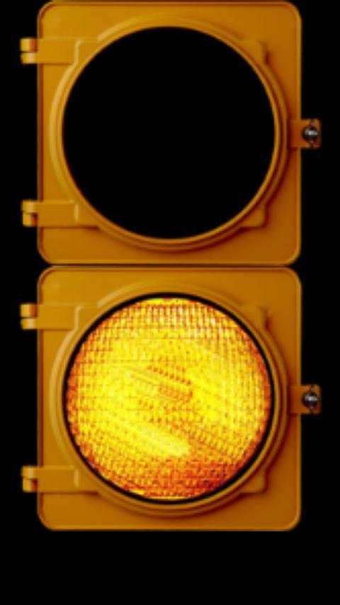 FlashLight screenshot 3
