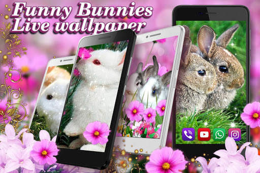 Funny Bunnies Live Wallpaper screenshot 5