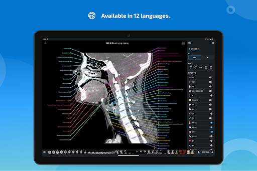 e-Anatomy screenshot 15