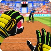 Cricket Fielding Challenge 2.0