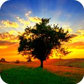 Sunrise / camera LIVE 1.1.0