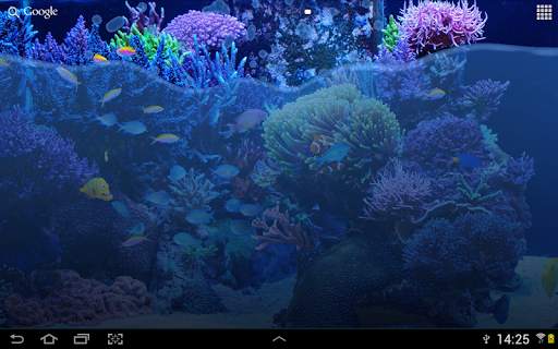Fish Tank Live Wallpaper screenshot 5