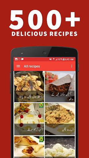 Recipes in Urdu (Offline) screenshot 1