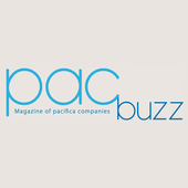 PacBuzz иконка