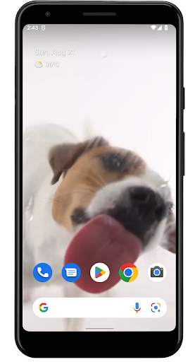 Dog Licks Screen Wallpaper screenshot 1