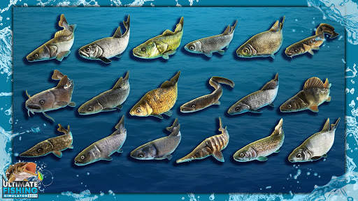 Ultimate Fishing Simulator PRO screenshot 3