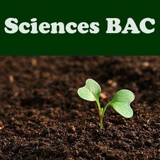 النبراس في العلوم الطبيعية BAC 2019 4.0
