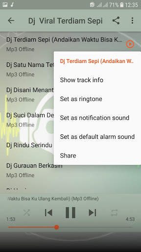 Dj Viral Terdiam Sepi Offline screenshot 4
