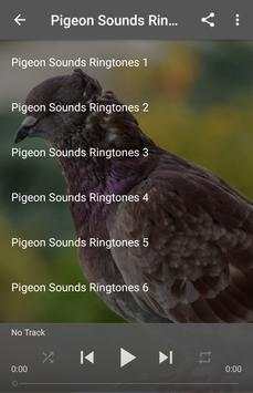 Pigeon Sounds Ringtones screenshot 1