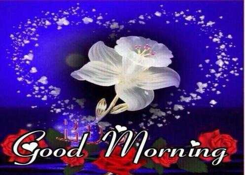 Good Morning Images Gif Animated Flower  Roses 4K screenshot 8