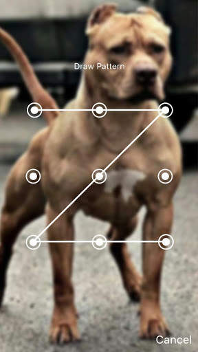 Pitbull Nice Dogs Wallpaper Lock Screen screenshot 5