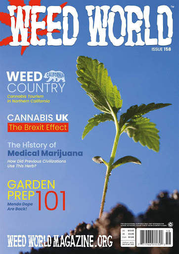 Weed World Magazine screenshot 2