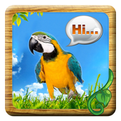 Learn English icon