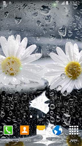 Daisies Flowers Live Wallpaper screenshot 5