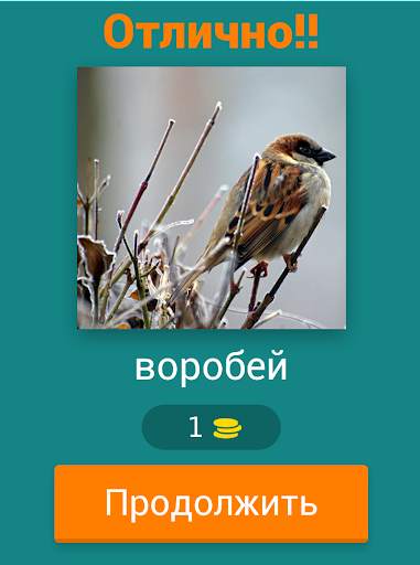 Угадай Животных скриншот 4