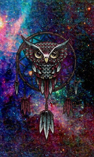 Funny Owl Wallpaper screenshot 20
