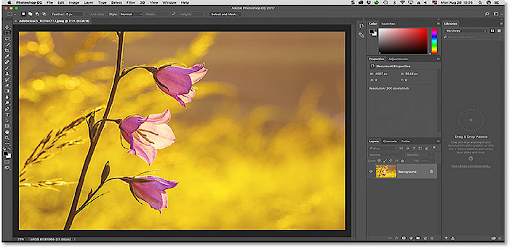 Adobe Photoshop Complete Course - Free screenshot 3