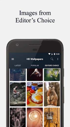 PicsHub - HD Wallpaper App screenshot 3