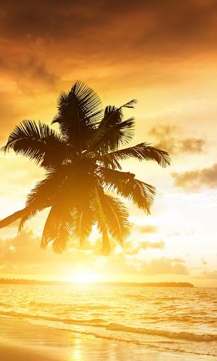 Beach Live Wallpaper (Wallpapers & Backgrounds) screenshot 3