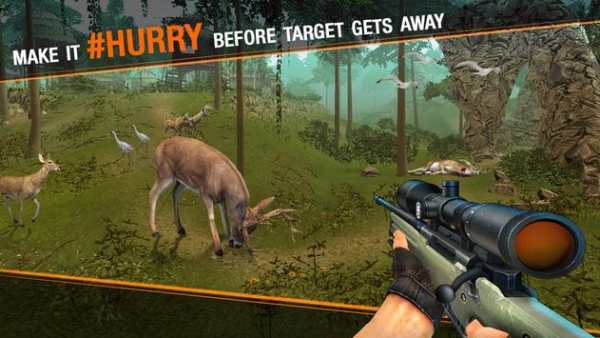 Rusa berburu sniper safari - binatang berburu  I screenshot 4