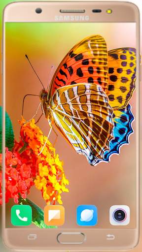 Butterfly Wallpaper Best HD screenshot 14