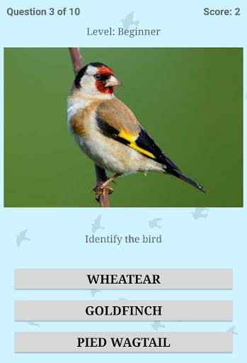 British Birds ID Quiz Pro screenshot 14