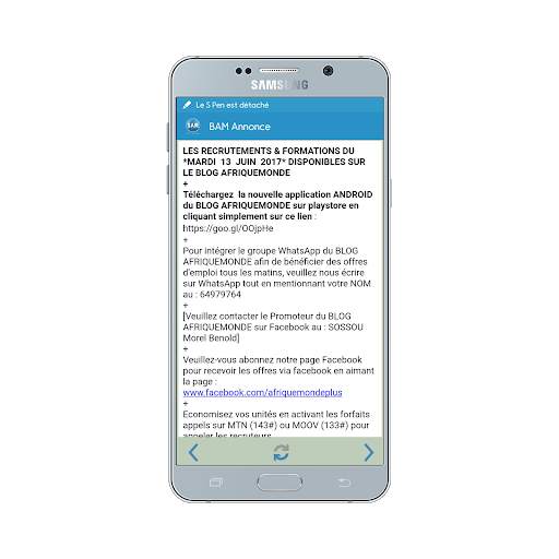 BAM Emploi et Investissement screenshot 5