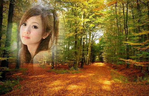 Forest Photo Frames screenshot 1