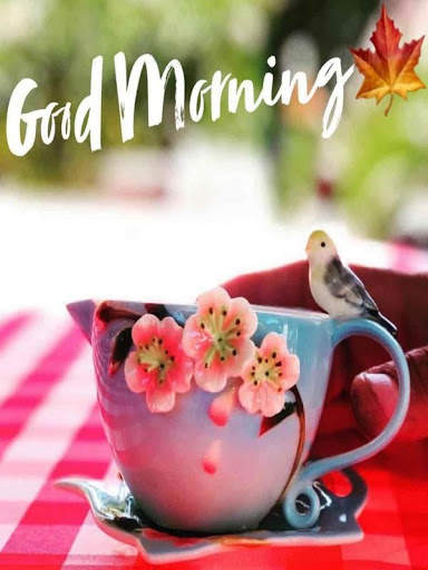Good Morning GIF for WhatsApp screenshot 1