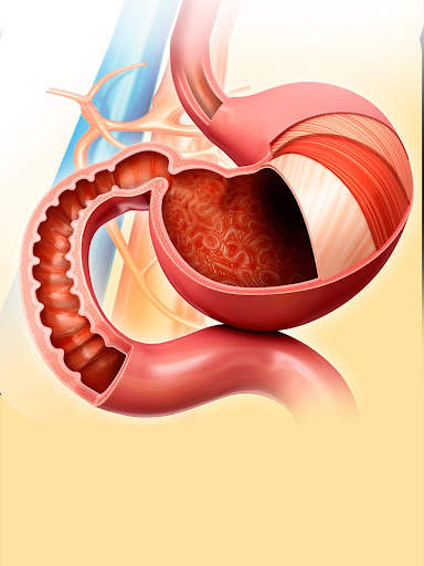 My Stomach Anatomy screenshot 9
