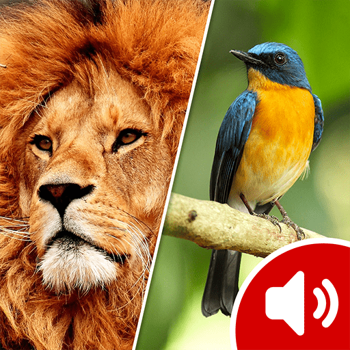 Animal Sounds icon