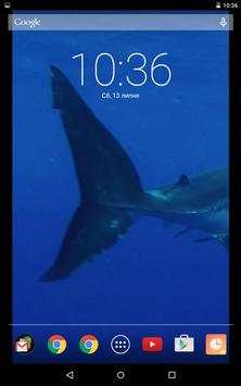 Dangerous Shark Video Live Wallpaper screenshot 4