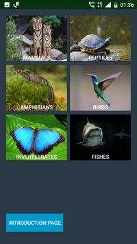 World of Animals screenshot 2