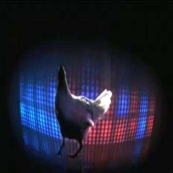 chiken song screenshot 1