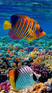 Aquarium Wallpaper HD Free screenshot 4